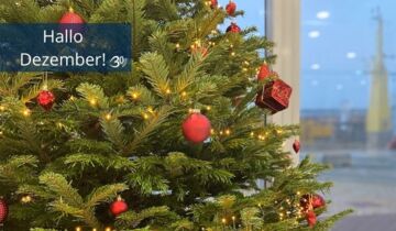 Pünktlich zum 1. Dezember haben wir unsere Christbaumkugeln herausgekramt und den Weihnachtsbaum festlichgeschmückt.